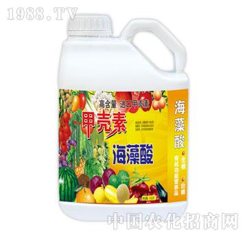 ��(r��n)��-�ך��غ�����