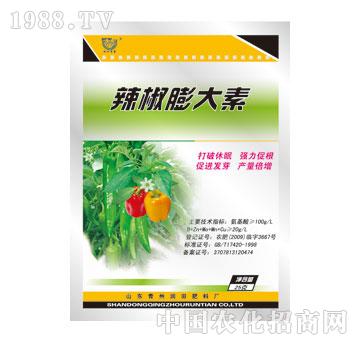 ����-���������