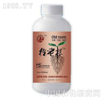 ������-���ϸ�