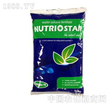 ���֐�(��i)ؐ˹��-�δ�20-10-20+TE