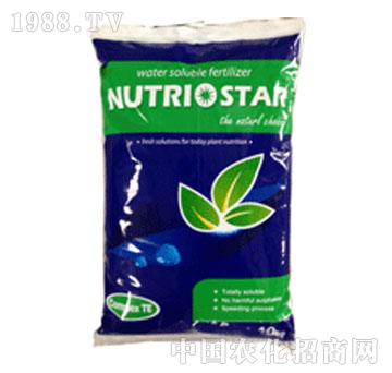 ���֐�(��i)ؐ˹��-�δ�20-20-20+TE