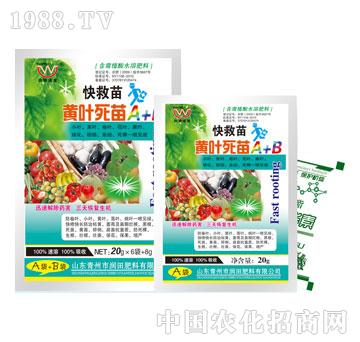 ��(r��n)��-������S�~����A+B