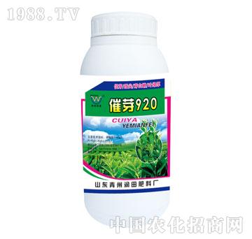 ��(r��n)��-��ѿ920