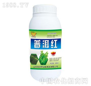 潤(rùn)田-普洱紅