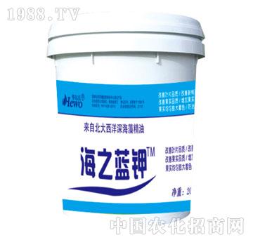 ����-��֮�{�