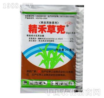 ���̲ݿˡ����Ͳ˴��޻���ײ����������̱����s�ݳ��݄�