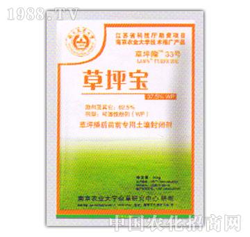 ��ƺ��-��Ľ���R������