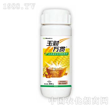 ��ؔ�f؞-̩�