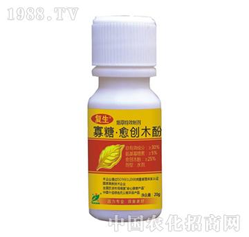 ��������(chu��ng)ľ��-����-˼