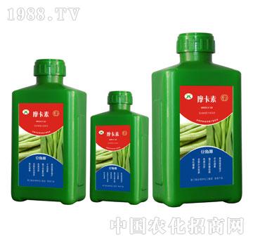 ���ǌ��ð���������Һ��