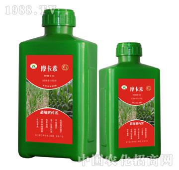 ����(j��)��ˎ������������Һ