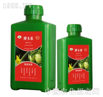 ������������������Һ��