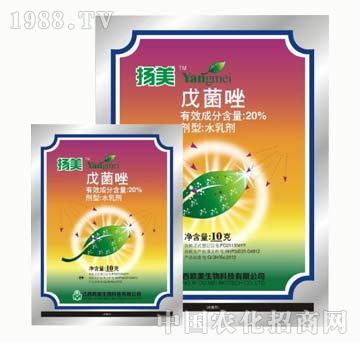 20%�����-����-����