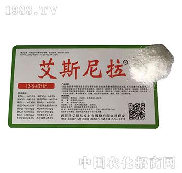 ��˹����13-6-40