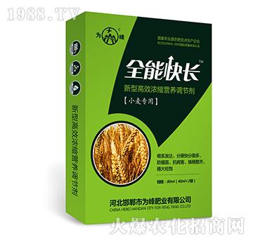 ȫ�ܿ��L(zh��ng)��С�����ã�-