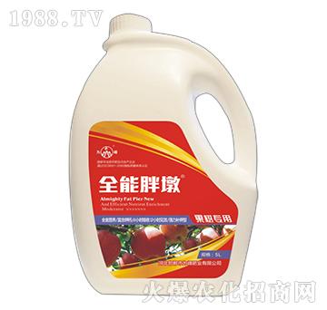 ȫ���ֶ�-���䌣��-��