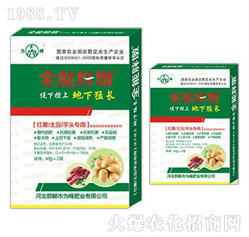 �t�������������^����-ȫ���ֶ�-���