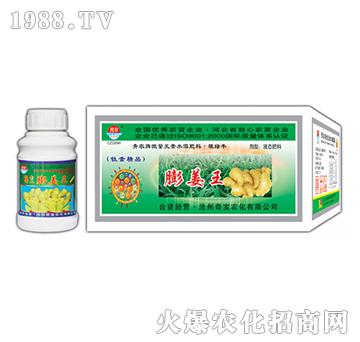 200g膨姜王-奇寶農化