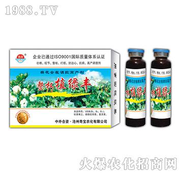 24g整杈植綠豐-奇寶農(nóng)化