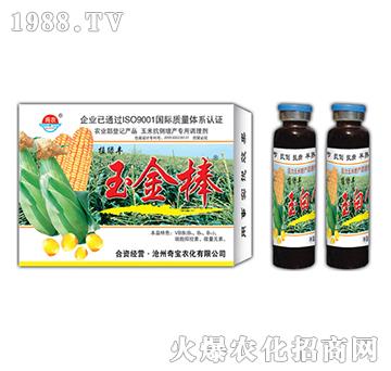 22g玉金棒-奇寶農(nóng)化