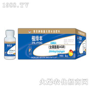 100g坐果膨果AGB-奇寶農(nóng)化