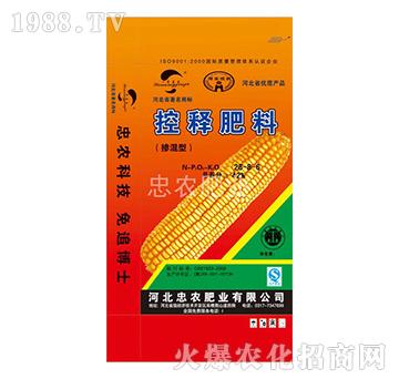 ����ጷ�28-8-6-