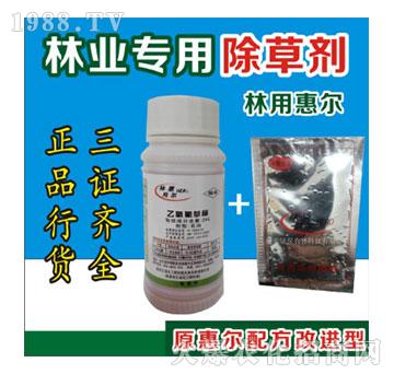 ���Գ��݄���ľ���݄���