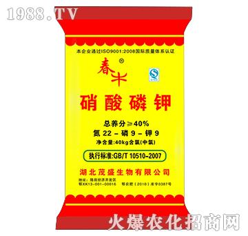 �������22-9-9-ïʢ