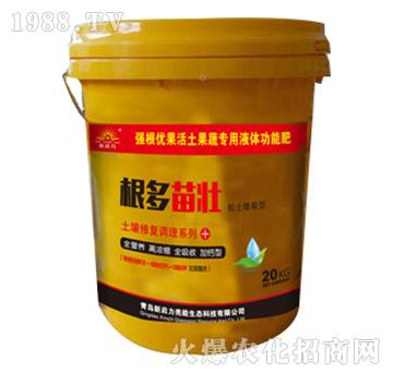 �������-�����ޏ��{��ϵ��-����