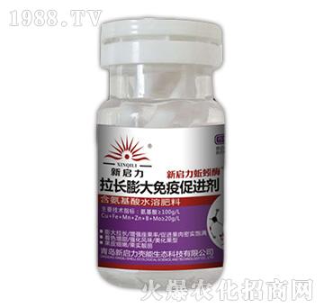 ���L������ߴ��M��-����