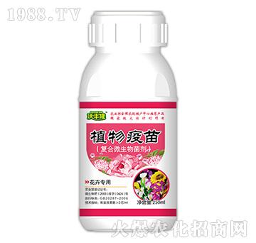 植物疫苗（花卉專用型）-沃豐隆-德強(qiáng)