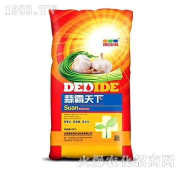 �������-�µص�