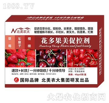 ��ݮ��܇���ӡ����һ�������ٿ؄�-�����r��