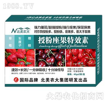 ��ݮ��܇���ӡ������ڷ�������Ч��-�����r(n��ng)��