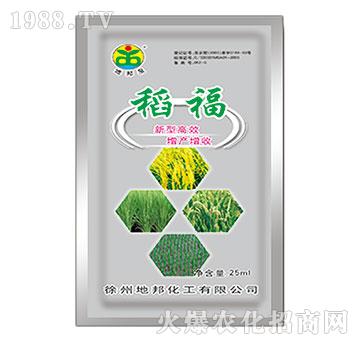 ����-�ذ�Ȫ