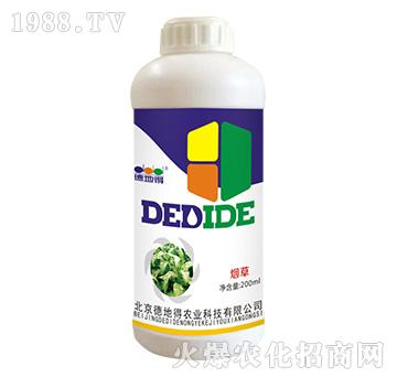 ���݌���-�µص�