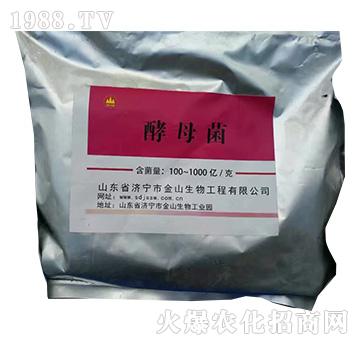 ��ĸ��-��ɽ����