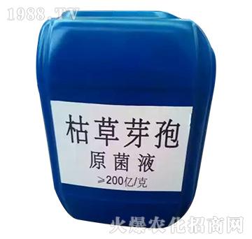 枯草芽孢原菌液-金山生物