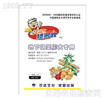 ���¸��o�����-�r�_����