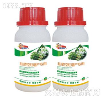 �²˿������a����-������-�r�_����