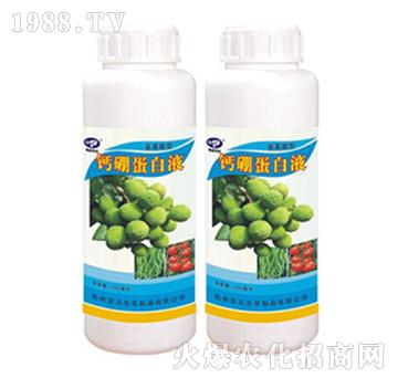 �}�𵰰�Һ-�r(n��ng)�_����