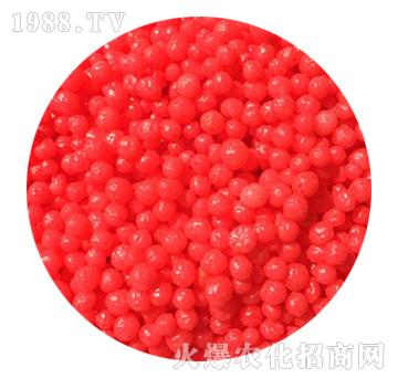 ��֬��Ĥ����6-����S