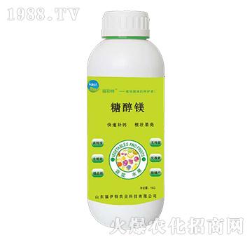 �Ǵ��V-������-������