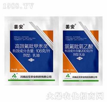 姜安-遠(yuǎn)見農(nóng)業(yè)