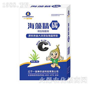 ΢�������-���徫̼-һ����