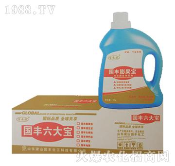 國豐膨果寶（桶）-梁山國豐