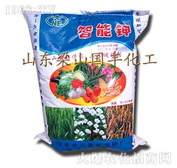 智能鉀（袋）-梁山國豐