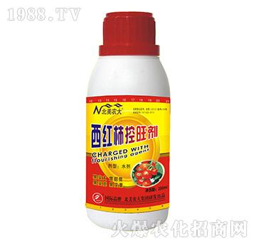 ���t��������-�����r(n��ng)��