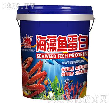 海藻魚蛋白（藍）-凱長富