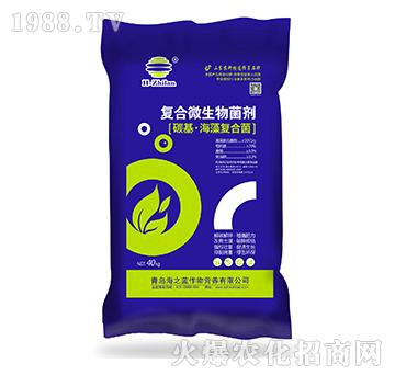 �ͺ�΢�������-̼������ͺϾ�-��֮�{